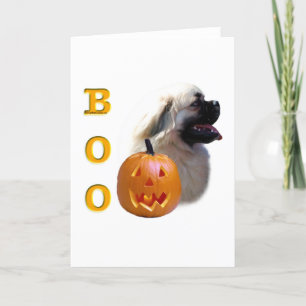 Tibetan Spaniel Boo Card
