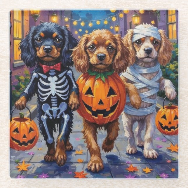 Tibetan Spaniel Dogs In Halloween Costumes Glass Coaster (Front)