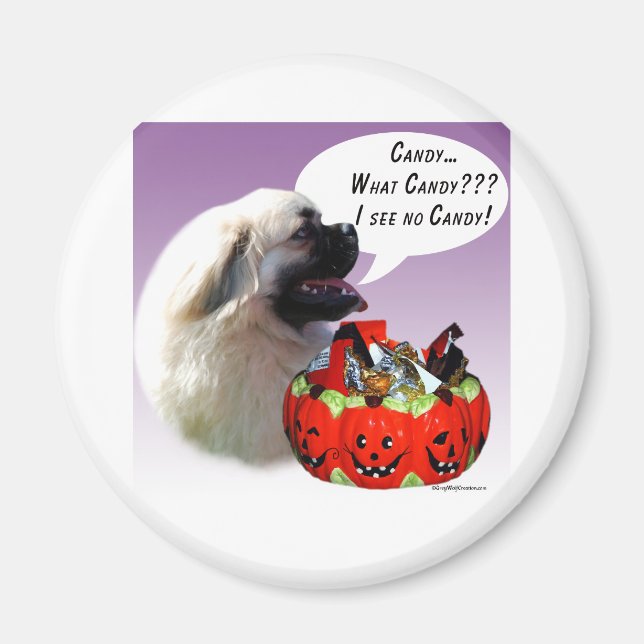 Tibetan Spaniel Halloween Candy Magnet (Front)