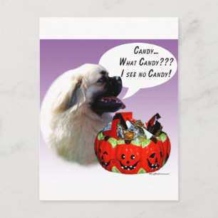 Tibetan Spaniel Halloween Candy Postcard