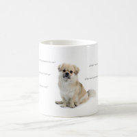 tibetan spaniel gifts