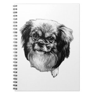 Tibetan Spaniel Notebook – Real Dog Portrait