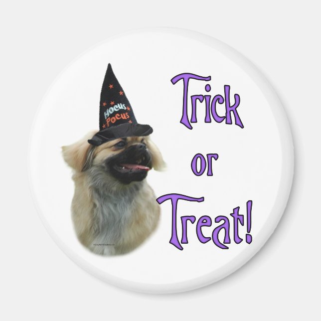 Tibetan Spaniel Trick Magnet (Front)