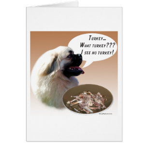 Tibetan Spaniel Turkey