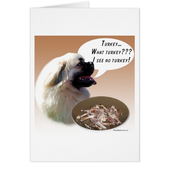 Tibetan Spaniel Turkey (Front)