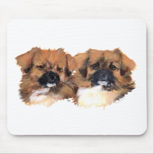 Tibetan Spaniels Head Study Mouse Mat