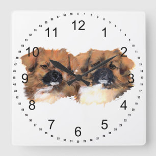 Tibetan Spaniels Head Study Square Wall Clock