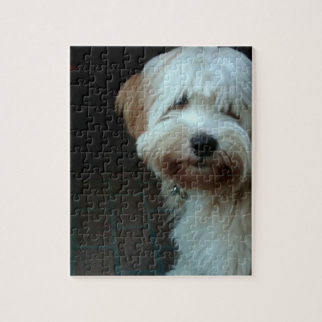 tibetan terrier 2 jigsaw puzzle (Vertical)