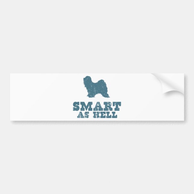 Tibetan Terrier Bumper Sticker (Front)