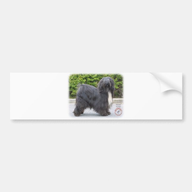 Tibetan Terrier Bumper Sticker (Front)