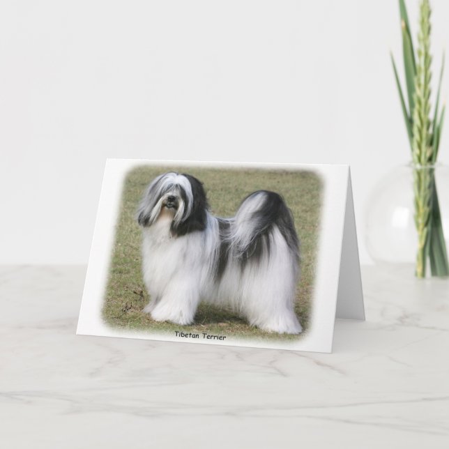 Tibetan Terrier Card (Front)