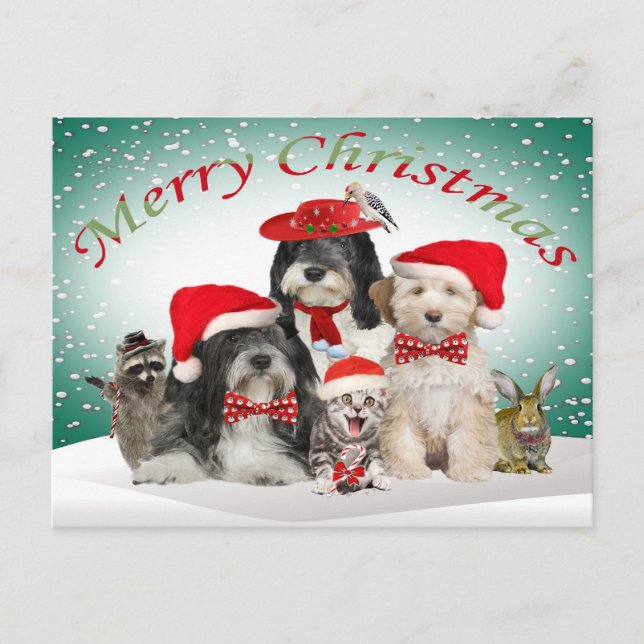 Tibetan Terrier Christmas With Friends Holiday Postcard (Front)