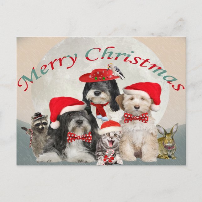 Tibetan Terrier Christmas With Friends Holiday Postcard (Front)