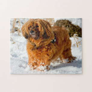 Tibetan Terrier Dog Jigsaws. Jigsaw Puzzle
