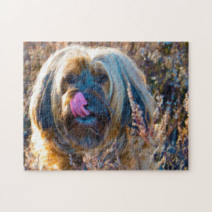 Tibetan Terrier Dog Jigsaws. Jigsaw Puzzle