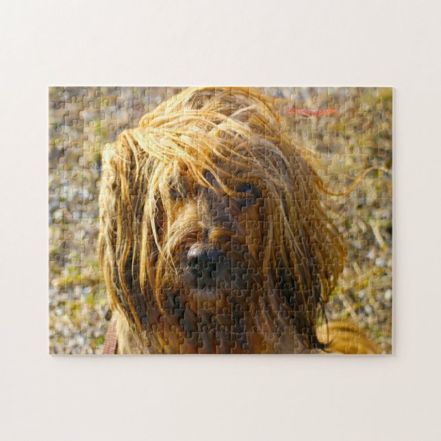 Tibetan Terrier Dog Jigsaws. Jigsaw Puzzle (Horizontal)