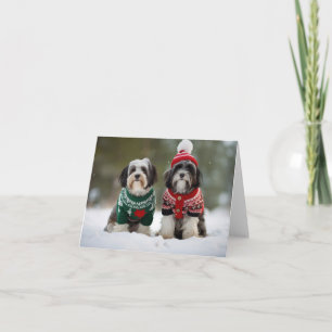 Tibetan Terrier Dogs Christmas Card