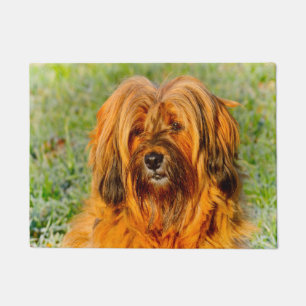 Tibetan Terrier Doormat