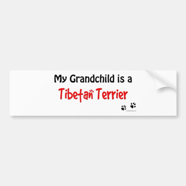 Tibetan Terrier Grandchild Bumper Sticker (Front)