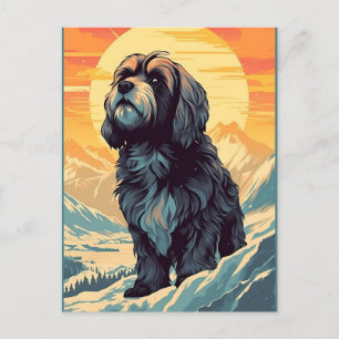 Tibetan Terrier in the montains during sunset Postcard