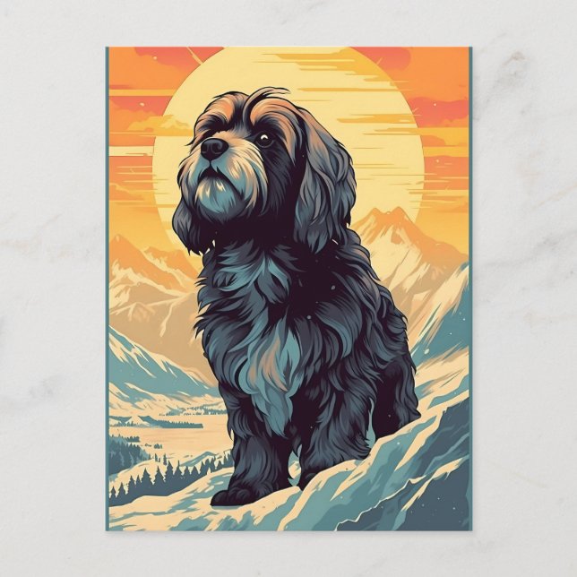 Tibetan Terrier in the montains during sunset Postcard (Front)