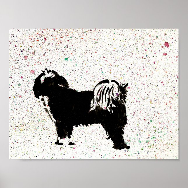 Tibetan Terrier - Looking Out Poster (Front)