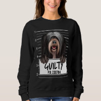 Tibetan Terrier Mugshot Guilty Dog