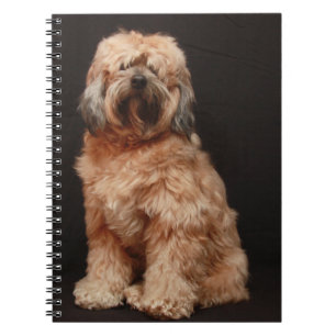 Tibetan Terrier Notebook