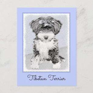 Tibetan Terrier Painting - Cute Original Dog Art Postcard