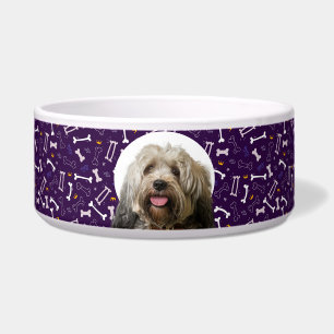 Tibetan Terrier Personalised Photo & Name Dog Bowl