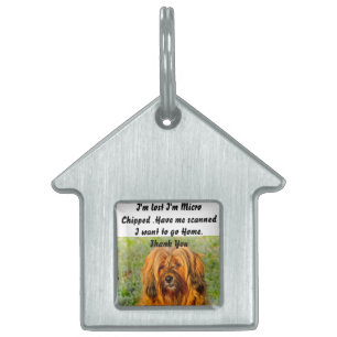Tibetan Terrier Pet ID Tag
