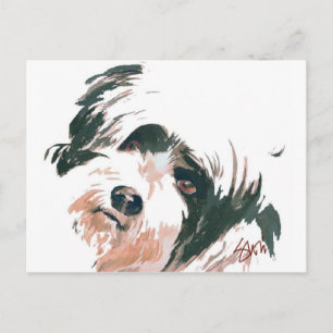 Tibetan Terrier Postcard