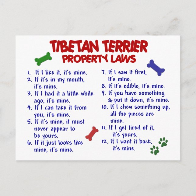 TIBETAN TERRIER Property Laws 2 Postcard (Front)