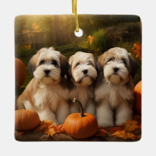 Tibetan Terrier Puppy Autumn Delight Pumpkin Ceramic Ornament (Front)