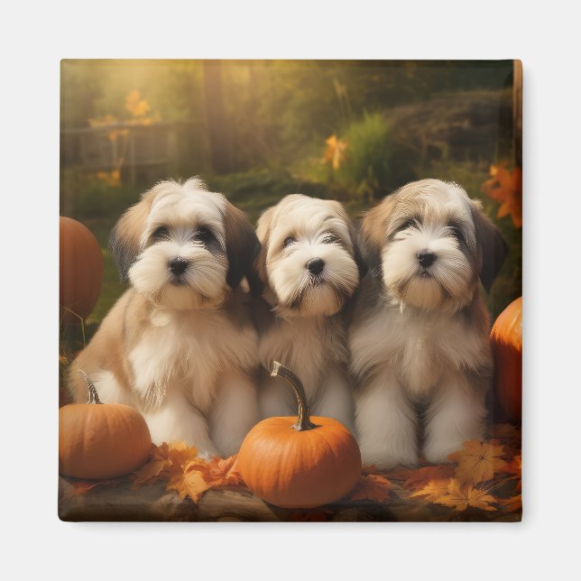 Tibetan Terrier Puppy Autumn Delight Pumpkin Magnet (Front)