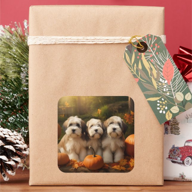 Tibetan Terrier Puppy Autumn Delight Pumpkin Square Sticker (Holiday)