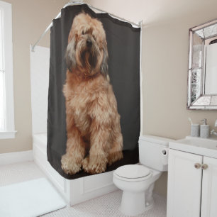 Tibetan Terrier Shower Curtain