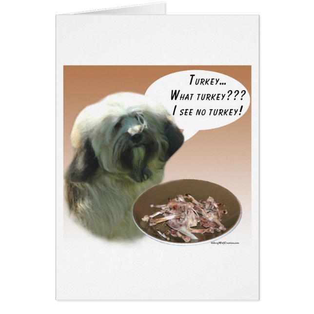 Tibetan Terrier Turkey (Front)