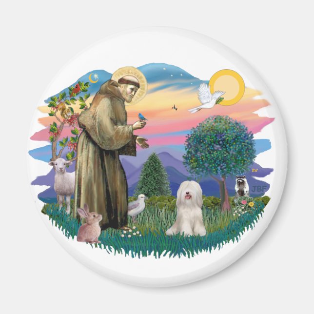 Tibetan Terrier (white) Magnet (Front)