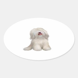Tibetan Terrier (white) Oval Sticker