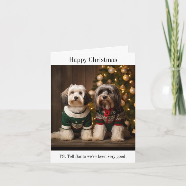 Tibetan Terriers  Christmas Card (Front)