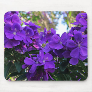 Tibouchina flowers mouse mat