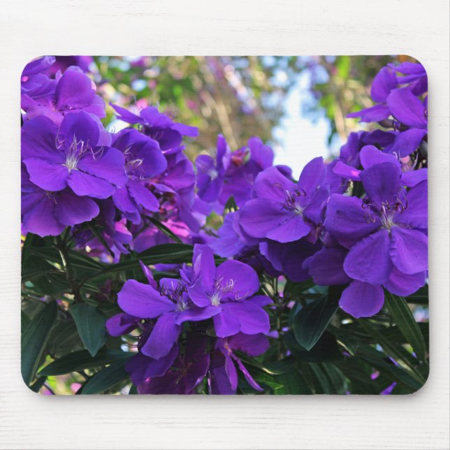 Tibouchina flowers mouse mat (Front)