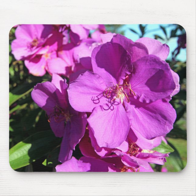Tibouchina flowers mouse mat (Front)