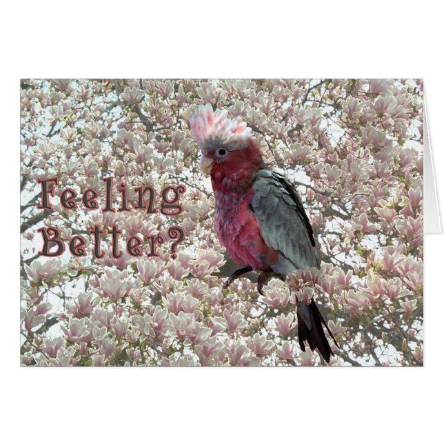 Tickled Pink (Front Horizontal)