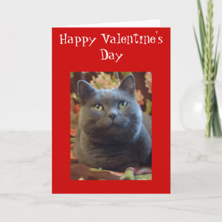 Tickles Holiday Card