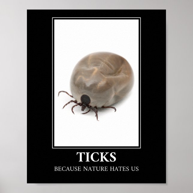 Ticks Because Nature Hates Us – Parasite Fun Poster (Front)