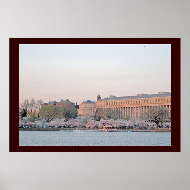 Tidal Basin Poster (Front)