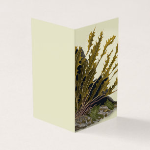 Tidal Fronds