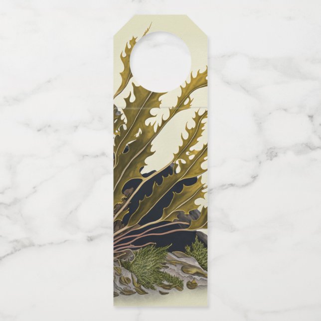 Tidal Fronds Bottle Tag (Front)